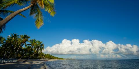 Tropical Beach Florida Keys